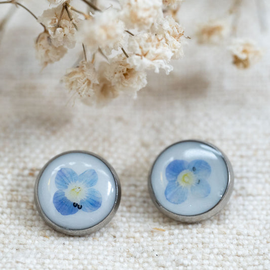 Cercei cu flori naturale de ventrilică